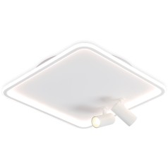 Потолочный светильник Comfort FL5114