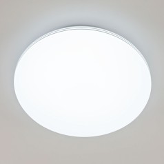 Потолочный светильник Симпла CL714480G