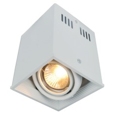 Потолочный светильник Artelamp Cardani A5942PL-1WH